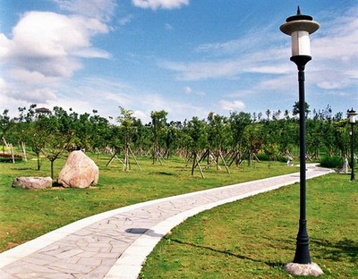 義烏市實驗小學園林綠化與景觀工程建設 打造生態教育新典范