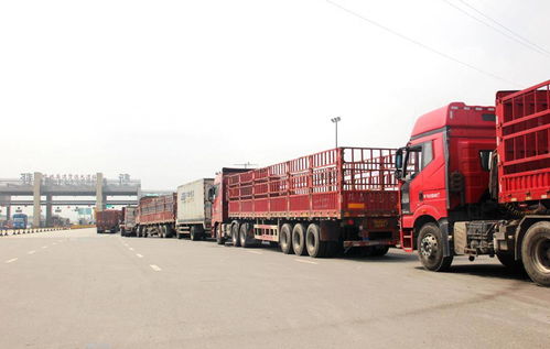 貨運行業(yè)新動向 兩會提案聚焦高速免費與多證合一，助力道路貨物運輸代理發(fā)展